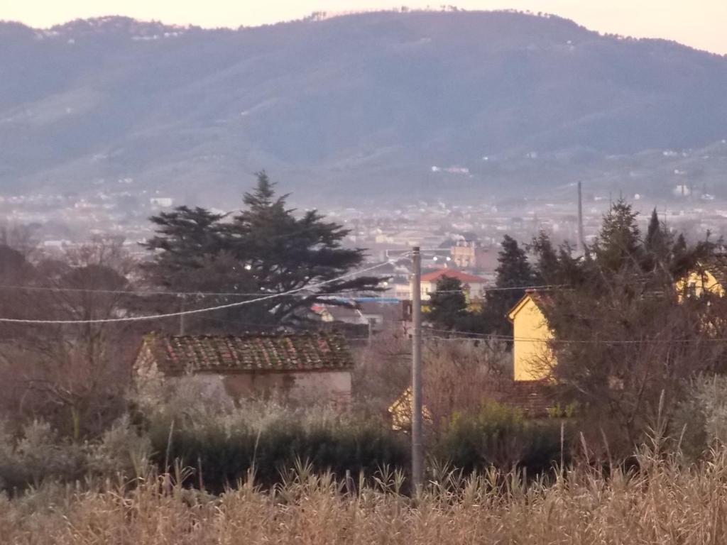 Tuscany Nice Stay 皮斯托亚 客房 照片
